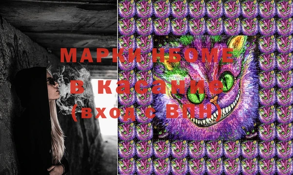 гидра Горняк
