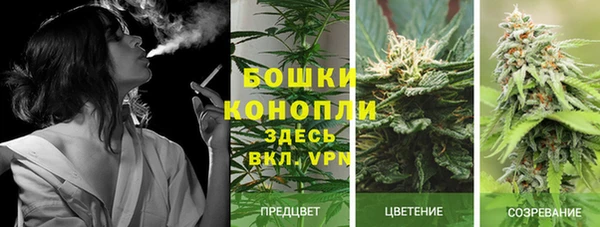 кокс Гусиноозёрск