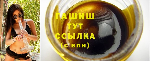 гидра Горняк